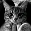 ситх - @andrewwinchester1997 - TikTok