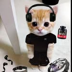andreuu - @andrewwitau - Instagram