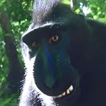 Andrew Woolley - @andrew.woolley.7165 - Instagram