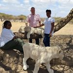 Andrew Woolley - @andrew.woolley.106 - Instagram