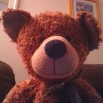 Andrew Woolley - @andrew.woolley.9421 - Instagram