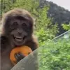 Andrew Worley - @andy.worley - TikTok