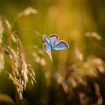 Andrew Worrell - @andrewworrell_815439 - Instagram