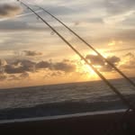 Andrew Worrell - @andrewworrell203 - Instagram