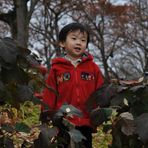 Andrew Ye - Facebook