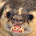 Andrew - @andrew_yeary1 - Instagram