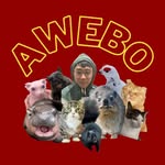 Andrew Yoon - @andrewyoonster - Instagram