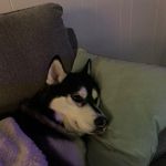 Andrew Yost - @andrewyost0 - Instagram