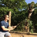 Andrew Yost - @acyost422 - Instagram