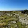 ДрюнЯ - @andreytereshchenko15 - TikTok