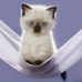 Andriy Dutka - Facebook