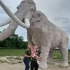 dutka.andriy - @dutka.andriy - TikTok