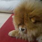 Andrzej Borkowski - @andrzej.borkowski.16503 - Instagram