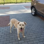 Andrzej Bugajski - @andrzej.bugajski - Instagram
