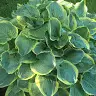 Andrzej Piechowski - @andrzej2xx - TikTok