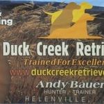 Andy Bauer - @duckcreekretrievers - Instagram