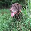 andybauer8410 - @andybauer8410 - TikTok