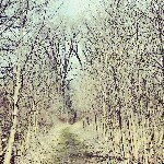 Andy Bauman - @the_doozler - Instagram