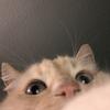 Andy_Beard - @andy_beard - TikTok