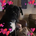 Andy Beard - @andydoves76 - Instagram