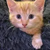 Andy Bennett - @andy.bennett08 - TikTok