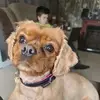 Andy Bolton - @andy.bolton4 - TikTok