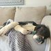 Andrew Bunch - Facebook