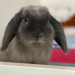 Andy 🤍 - @_andy_bunny_ - Instagram