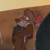 andy ☆ - @andy.bunni - TikTok