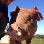Andy Bunn - @andy1rb - Instagram