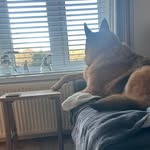 Andy Bunting - @andyb1954 - Instagram