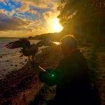 Andy Bunting - @manorfalconry - Instagram