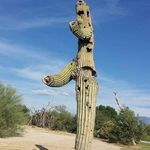 Andy Bunting - @andybunting2713 - Instagram