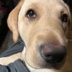 Andy Burdick - @andy.burdick.10 - Instagram