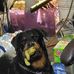 Andy Burggraff - Facebook