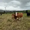 Andy burke - @andrew.burke40 - TikTok