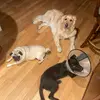 Andy Burke - @andy.burke0 - TikTok