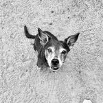 Andy P. Shih-Burkett - @andypawker - Instagram