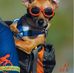 Andy Burkhardt - Facebook