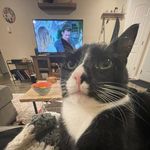 Andrew Burleson - @parzz47 - Instagram