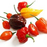 Andy Burnside - @the_birmingham_chilli_shed - Instagram