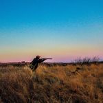 Andy Burris - @vomwachtelkonig - Instagram