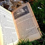 Andy Burt - @burtsbookiebobs - Instagram