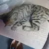 Andy Burt - @andy.burt1 - TikTok