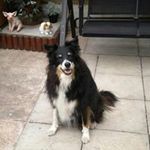 Andy Busby - @mister.andybusby - Instagram