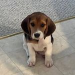 Andy Busch - @clyde154153 - Instagram