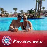 Andy Busch - @andy_busch67 - Instagram