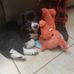 Andrea Bushong - Facebook
