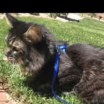 Andrew Bushong - @cptpoofypants - Instagram