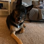 Andrew Bushong - @andrew.bushong12 - Instagram